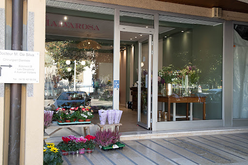 Malvarosa fleuriste à Ferney Voltaire