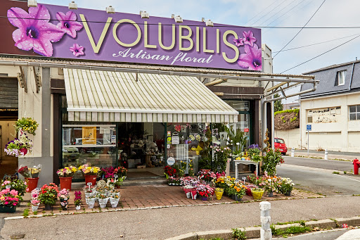 VOLUBILIS FLEURS FLEURISTE LE HAVRE 76600. Votre fleuriste toutes occasions Mariage Décès Plaisir d'Offrir Décoration de salle avec service