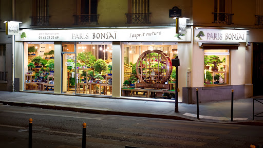 Plus de 800 bonsai