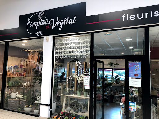 Dans ma boutique de fleurs située à Rostrenen