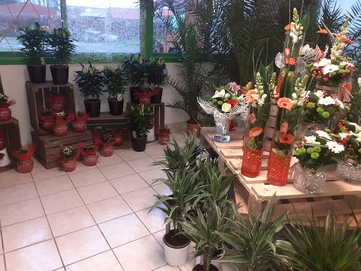 Fleuriste Bailleul