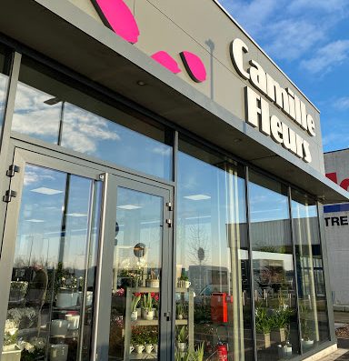 Livraison de fleurs à Illies au meilleur prix