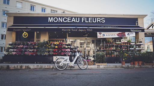 Découvrez nos bouquets de fleurs
