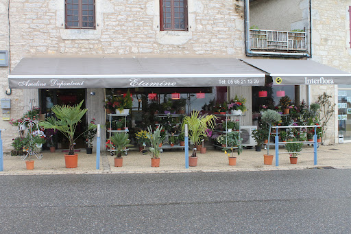 À la recherche de beaux bouquets et de compositions florales personnalisées ? Rendez-vous chez Fleurs T Jardins