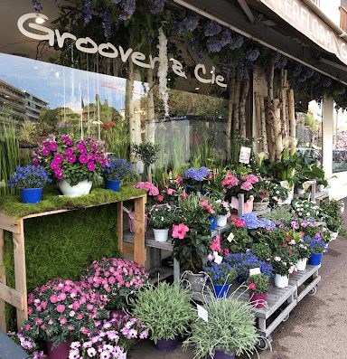 Livraison de fleurs à Cagnes sur mer au meilleur prix