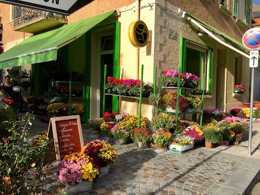 Envoyer des fleurs à Roquebillière au meilleur prix