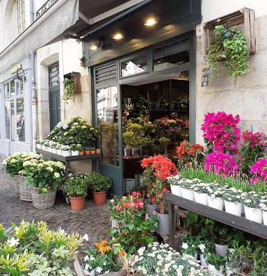 Jean Tessier vous propose une grande diversité de fleurs et de plantes en fonction des saisons