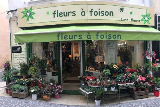 Livraison de fleurs à La Ciotat au meilleur prix