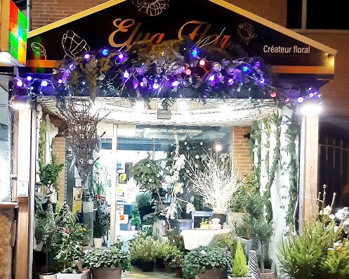 Faites plaisir à vos proches en leur offrant des fleurs fraîches et colorées. Livraison à domicile rapide et efficace. Commandez dès maintenant chez le fleuriste de confiance à Toulouse.