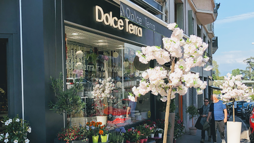 Pourquoi payer plus ? Vos fleurs