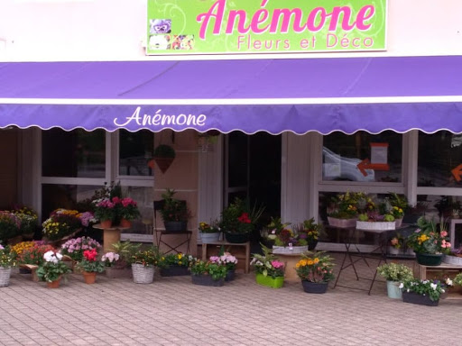 Découvrez le site de la boutique de fleur Anémone à Pont-du-Château.