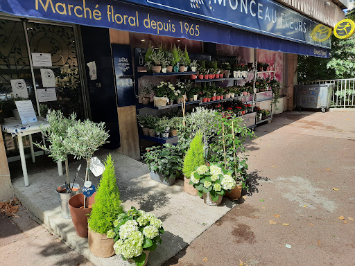 Profitez de la livraison de fleurs et plantes en France ✓7j/7 ✓Envoi de fleurs fraîches en 2h ✓Retrait en boutique ✓Bouquets à partir de 29