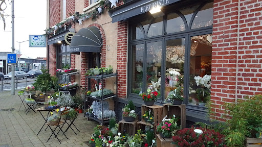 Livraison de fleurs de saison à Lille par Pic Fleurs