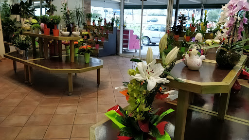 Faites livrer vos bouquets de fleurs ou vos plantes (à domicile ou en main propre) grâce à nos artisans fleuristes. Envoyer des fleurs partout en France.
