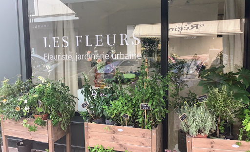 Livraison de fleurs de saison à Douai par La Maison Fleurie