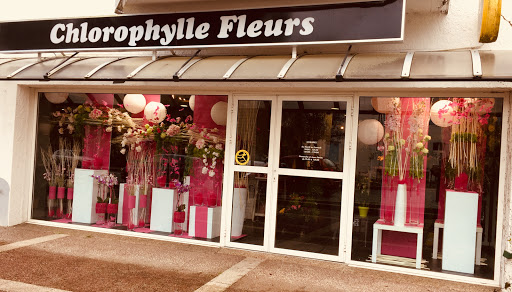 Votre fleuriste Chlorophylle à Saint-Paul-lès-Dax et à Dax dans les Landes propose un large choix de fleurs et de plantes