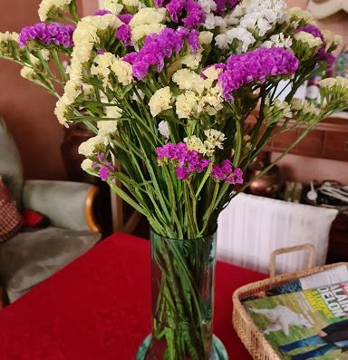 Découvrez nos bouquets de fleurs dès 22