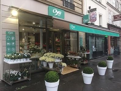 Nous mettons à votre disposition une sélection de fleurs fraîches pour la composition de vos bouquets ou pour la décoration de vos lieux de réception.